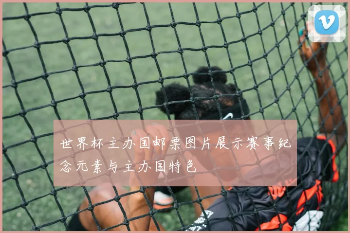 世界杯主办国邮票图片展示赛事纪念元素与主办国特色