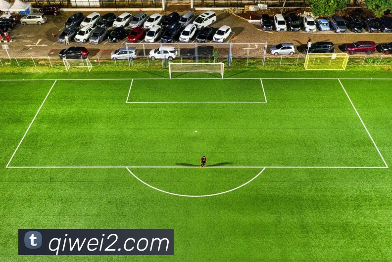 世界杯平台官网登录发展历程